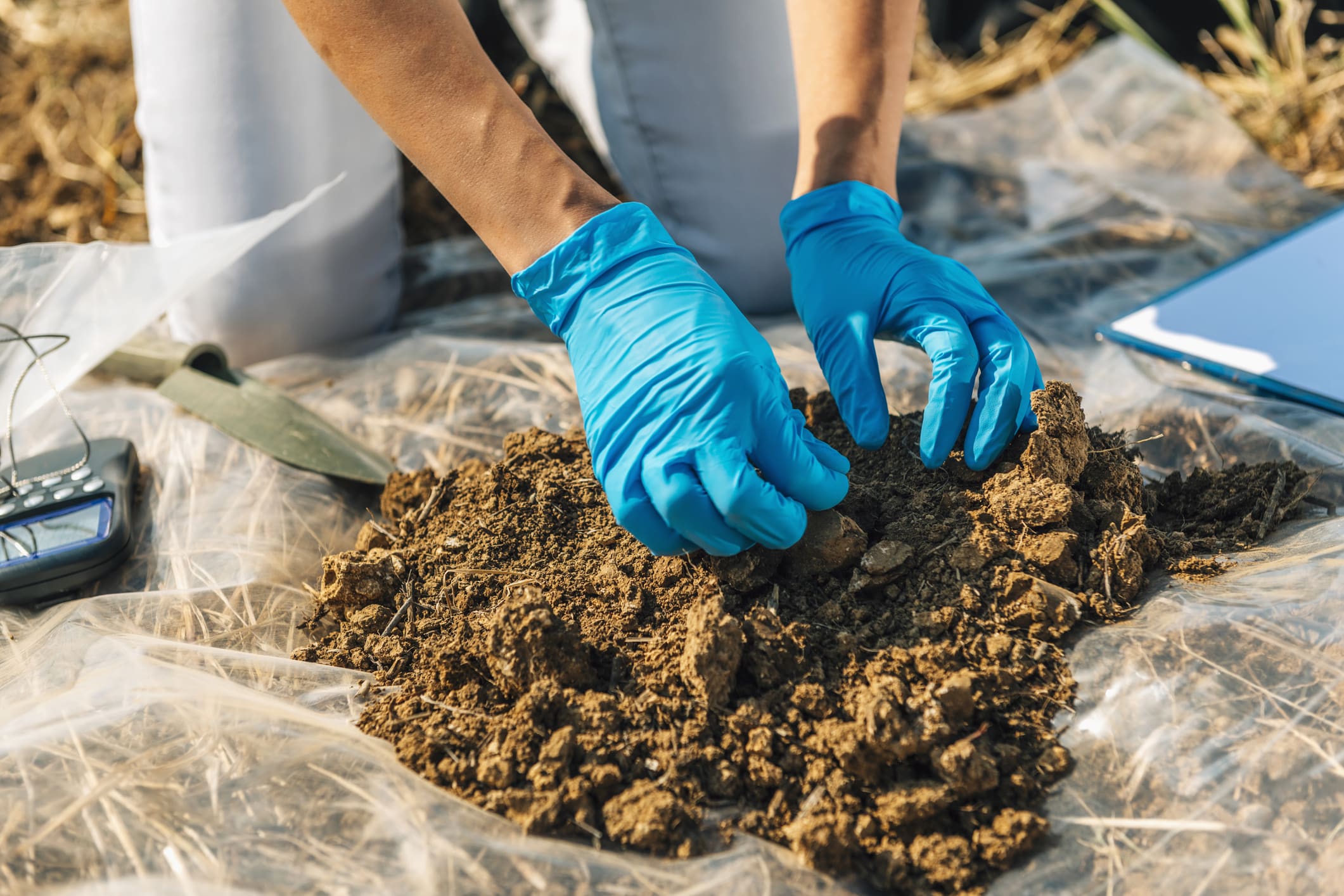 MDMoldTesting.com-The-Importance-Of-Soil-Testing